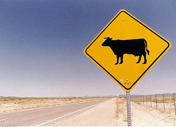 《战地2042》更新后鼠标问题解决办法 圣诞皮肤一览